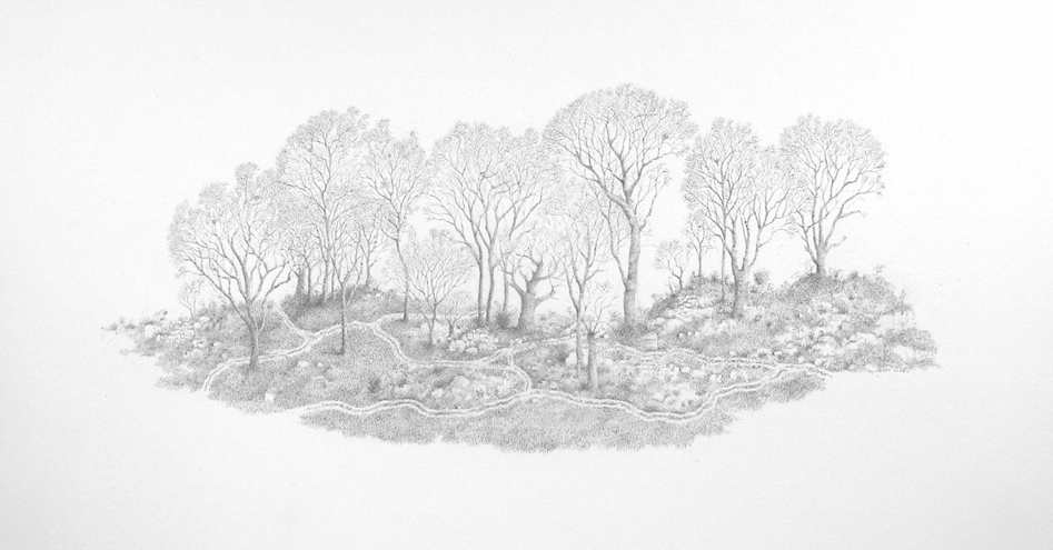 Untitled (Imaginary Landscape), graphite on paper, 2006