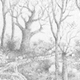 Untitled (Imaginary Landscape) graphite on paper, 2006